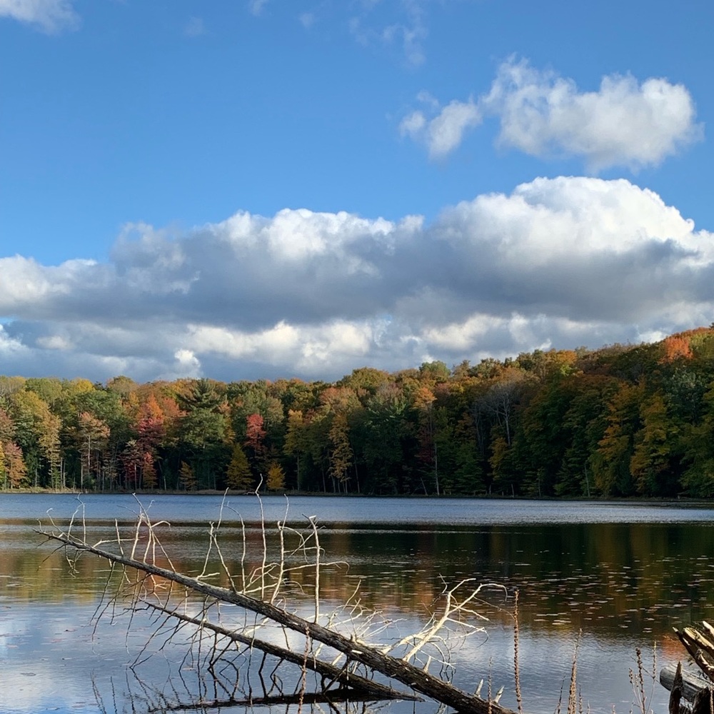 Meet your Posher, Julie